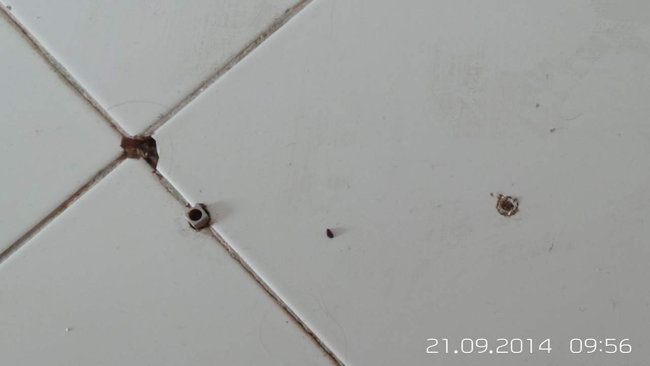 Lose Dübel Hotel Nesrine