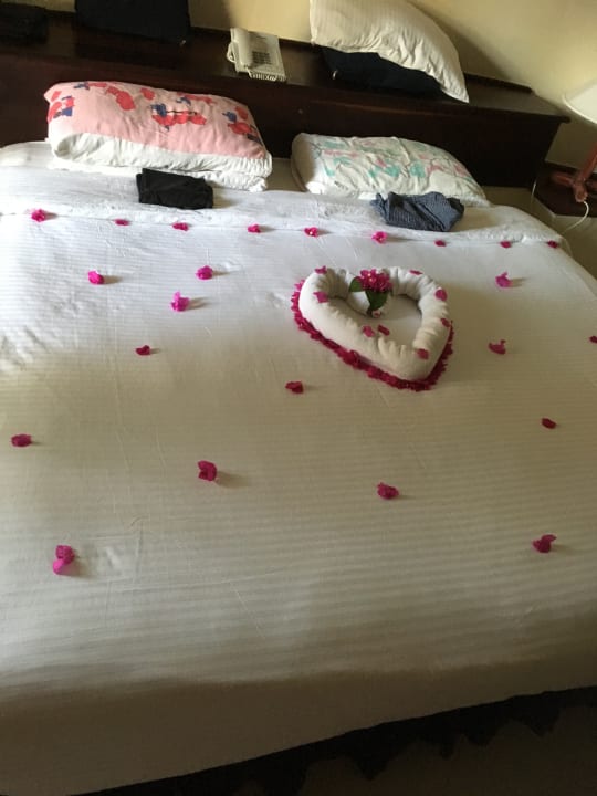 Zimmer Neptune Paradise Beach Resort & Spa