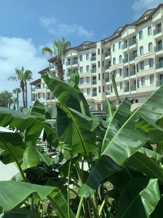 Gartenanlage Bella Resort & Spa