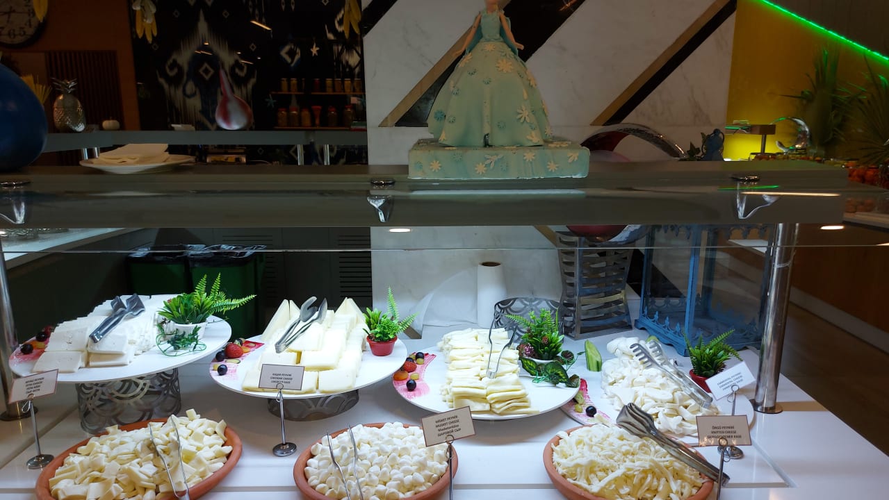 Gastro Maxeria Blue Didyma