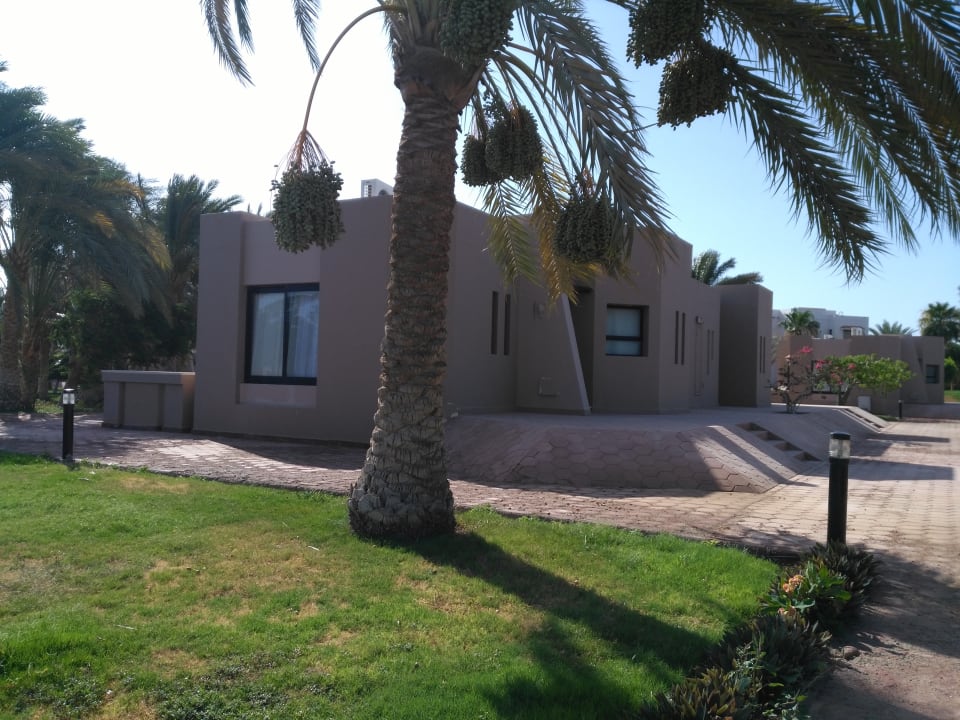 Zimmer Pharaoh Azur Resort
