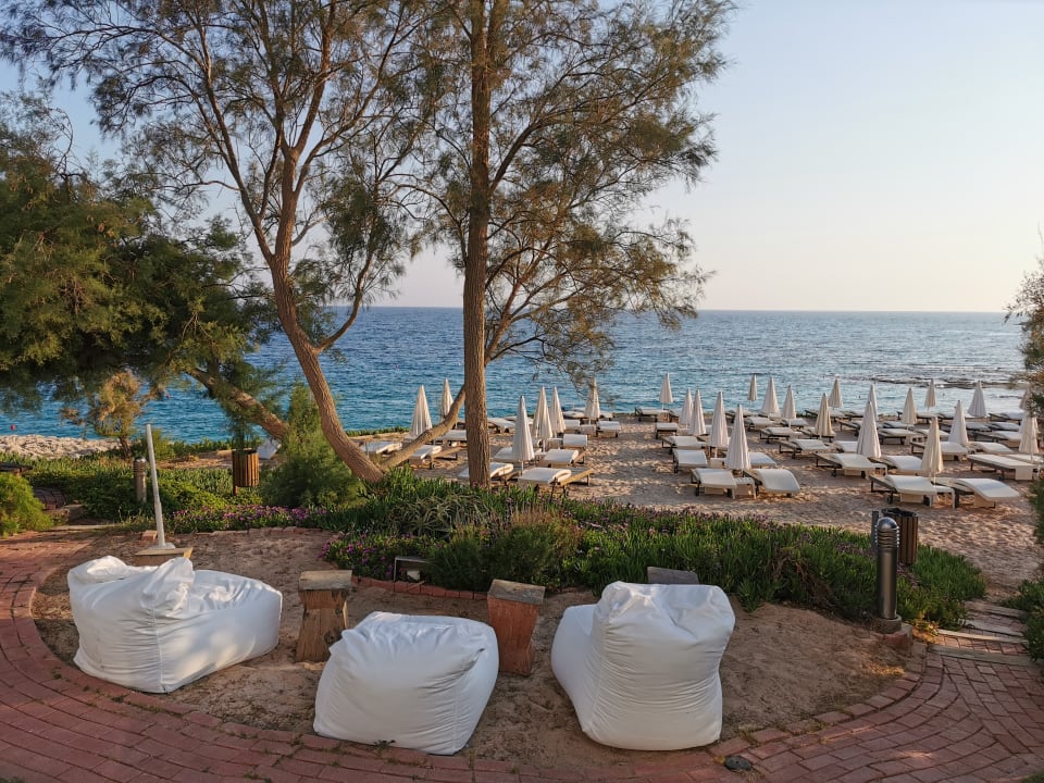 Gartenanlage Hotel Grecian Sands