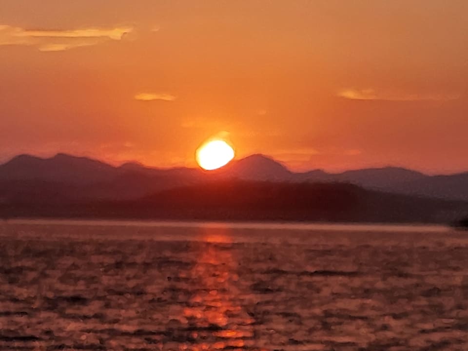 Ausblick TUI MAGIC LIFE Bodrum - Adult Only (16+)
