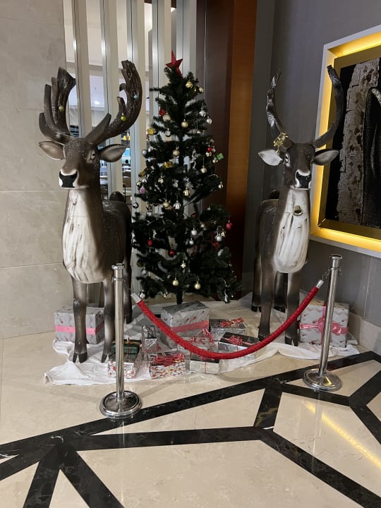 Lobby Side Sunport Hotel & Spa