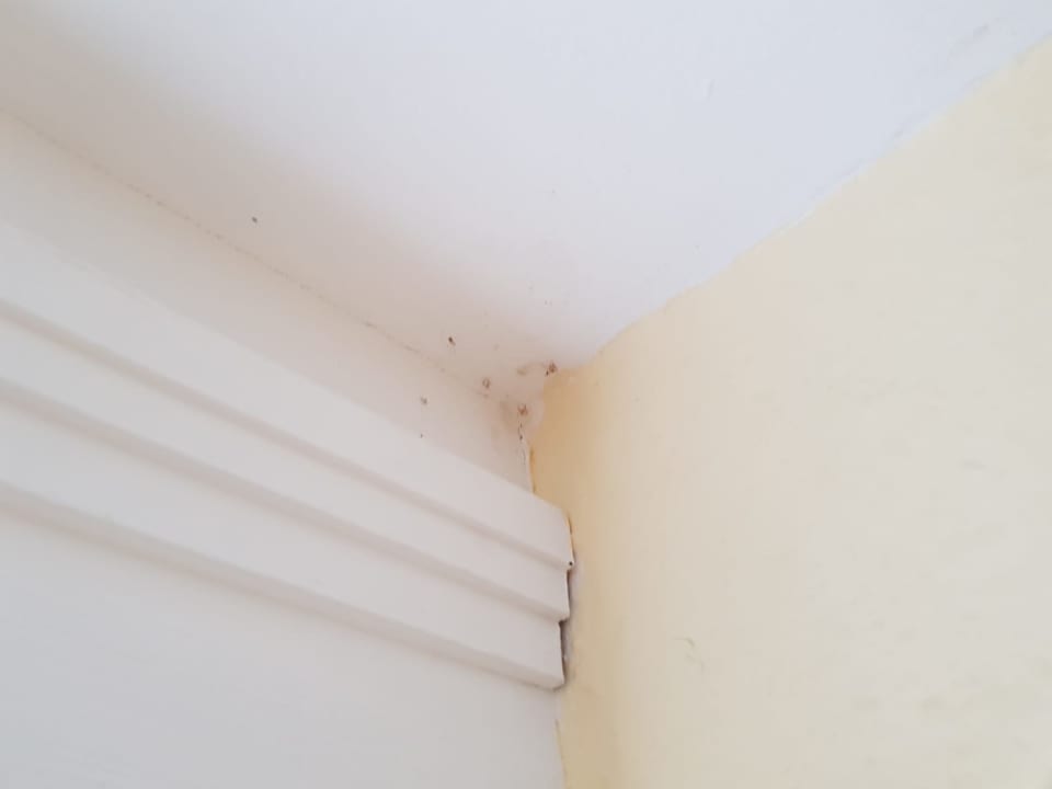 Zimmer Ferienwohnungen Ferienpark Weissenhäuser Strand