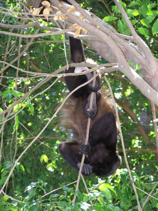 Ich häng hier so rum... Sandos Playacar Select Club Adults only - All Inclusive