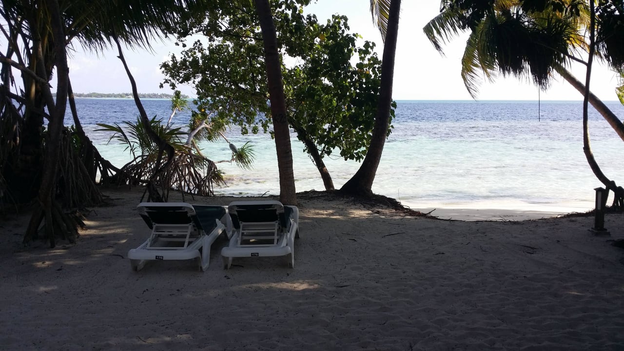 Aussicht von der Terasse bei Bungalow 176 Vilamendhoo Island Resort & Spa