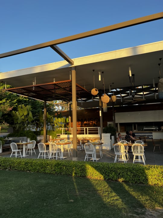 Gastro Acanthus Cennet Barut Collection