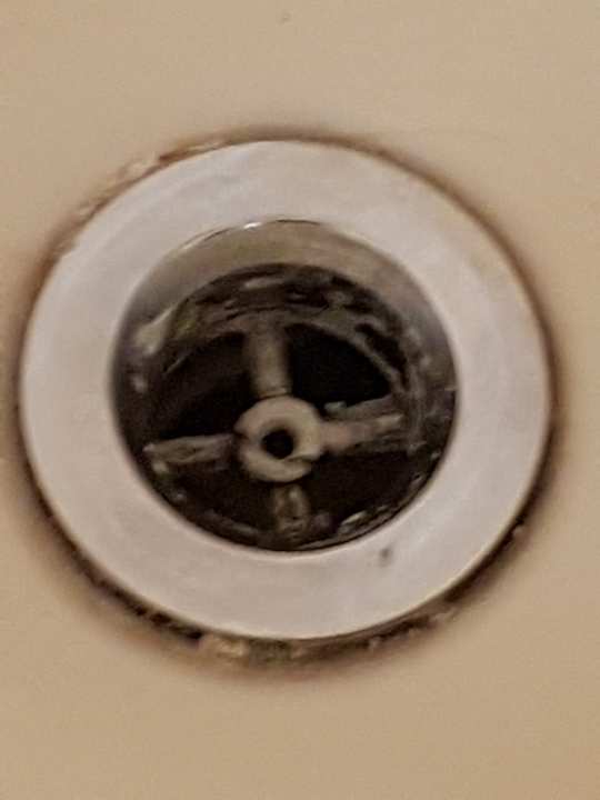 Zimmer Hotel Super 8 St Augustine I 95