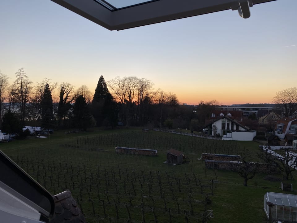 Ausblick Hotel Traube am See
