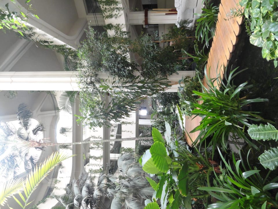 Begrünter Innenhof Paradisus by Meliá Salinas Lanzarote