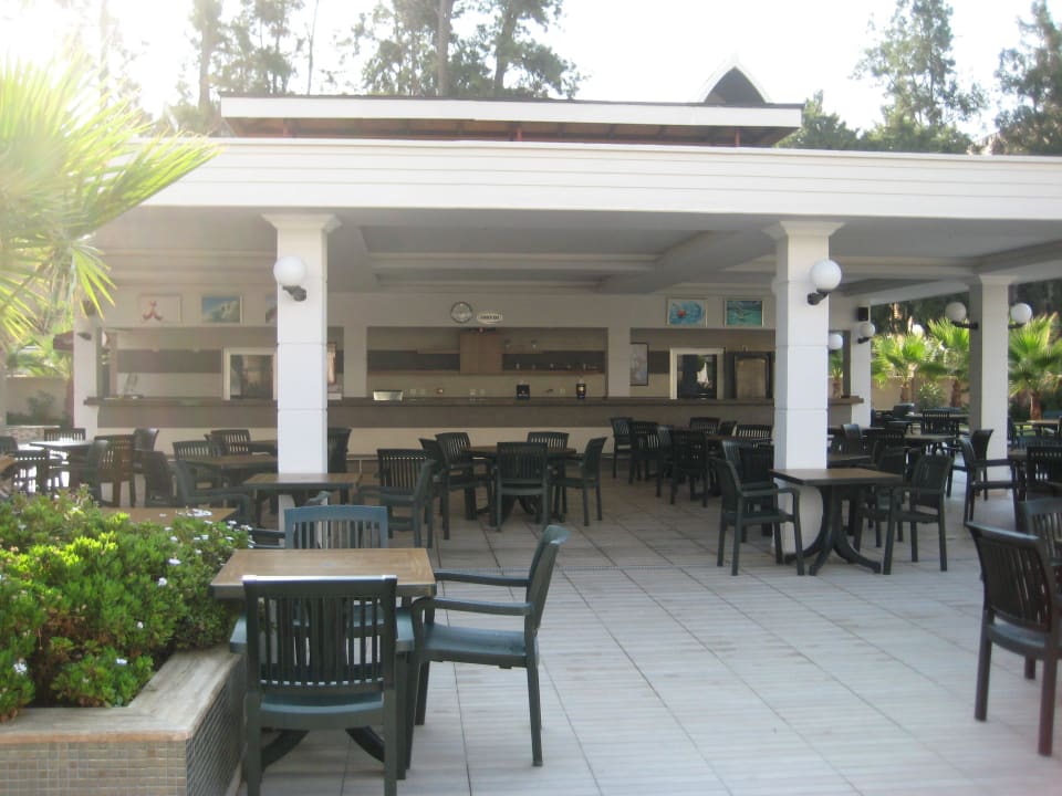 Poolbar Dizalya Palm Garden