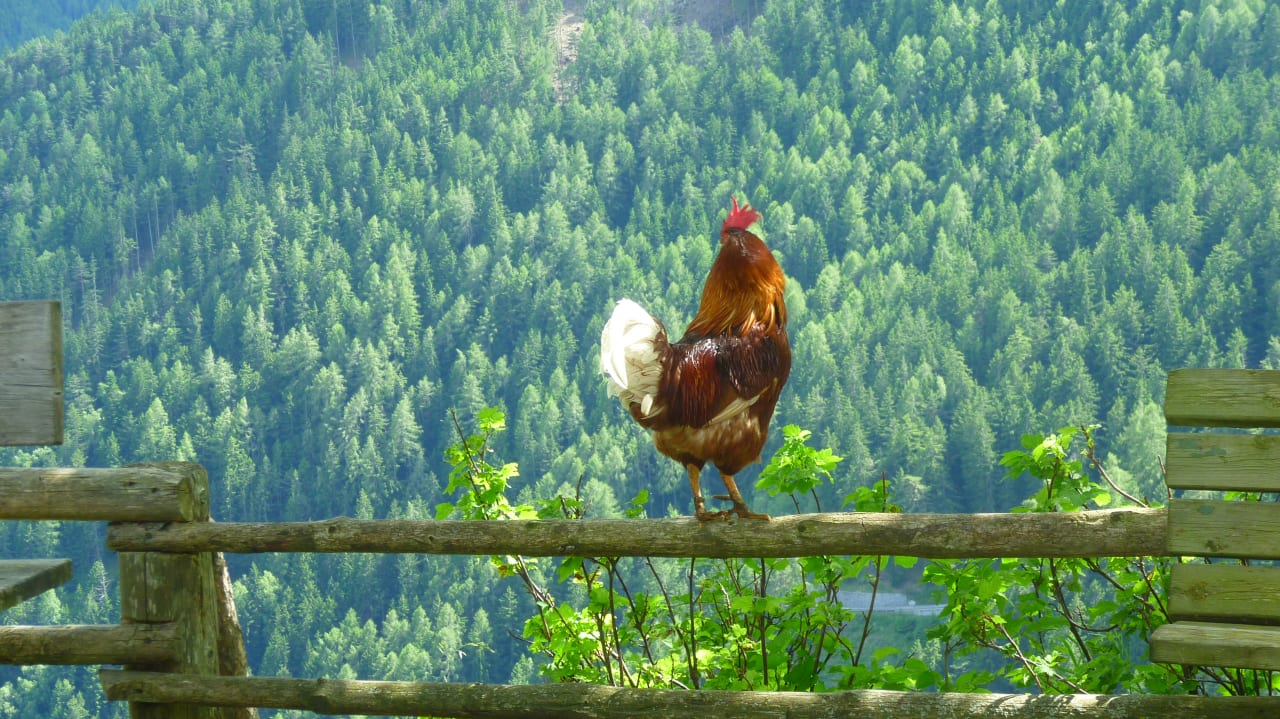 Sonstiges Gasthof Hanserhof