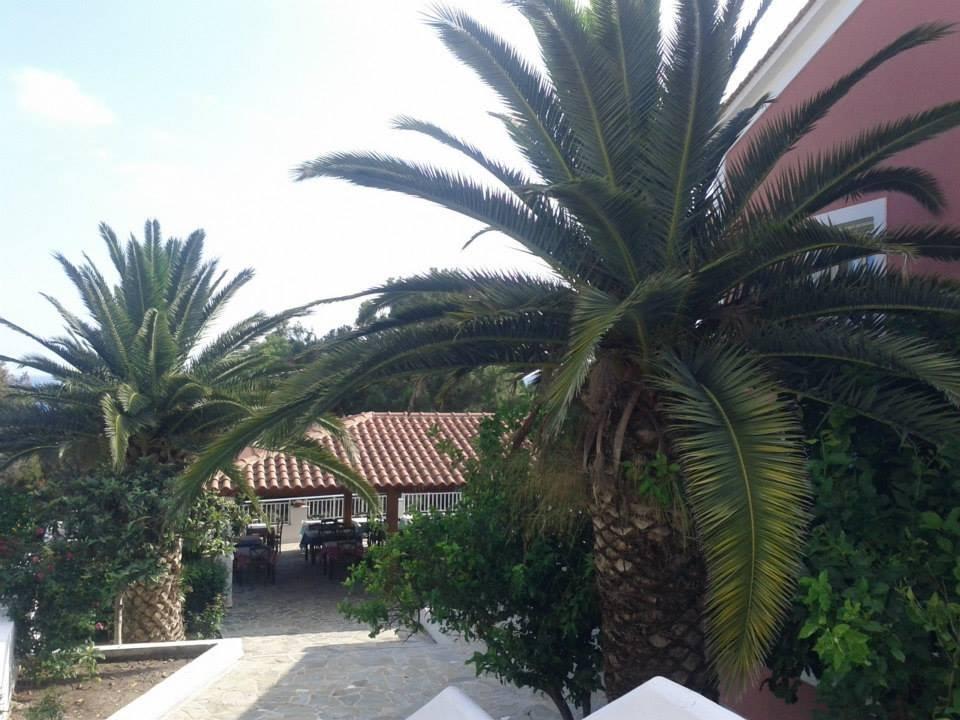 Essen fassen! Mykali Hotel