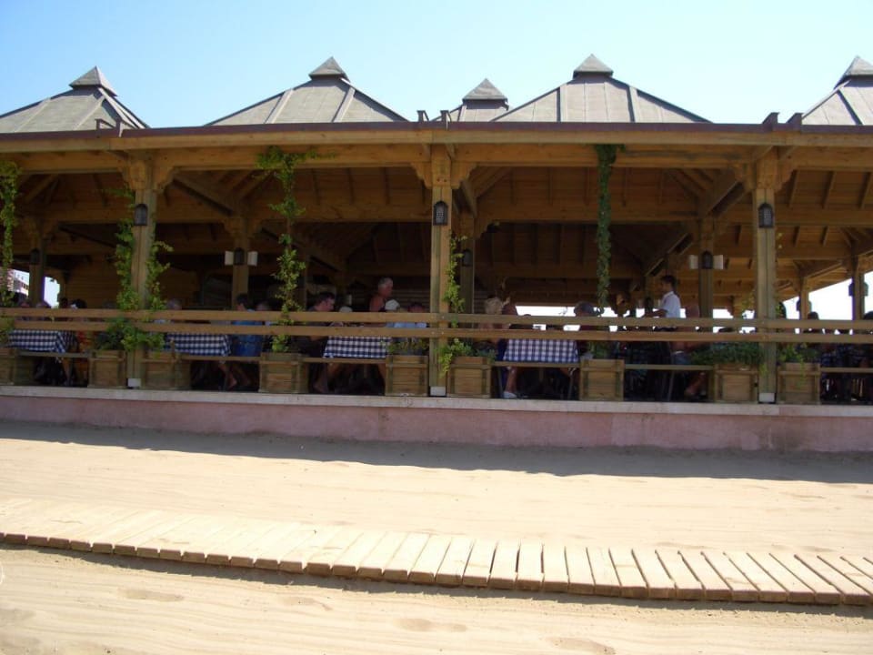 Strandbar Paloma Oceana