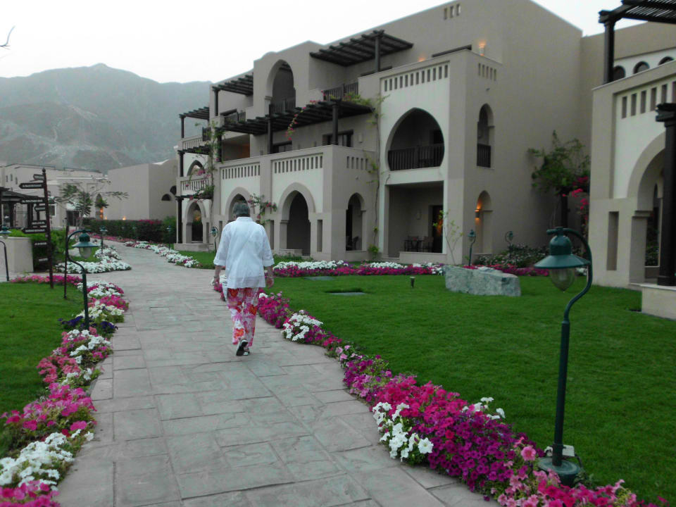 Einwach wandeln und geniessen Miramar Al Aqah Beach Resort