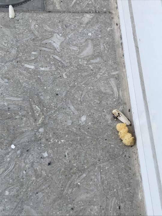 Zimmer Bodrum Holiday Resort & Spa