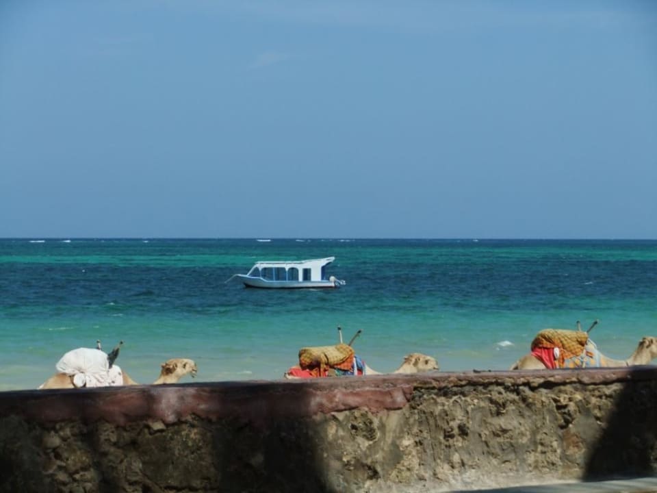 Blick über die "Mauer" Neptune Village Beach Resort & Spa