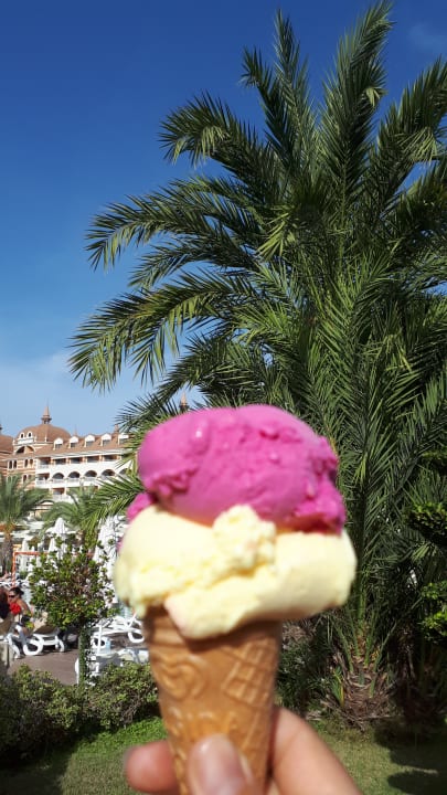 Sonstiges Royal Alhambra Palace