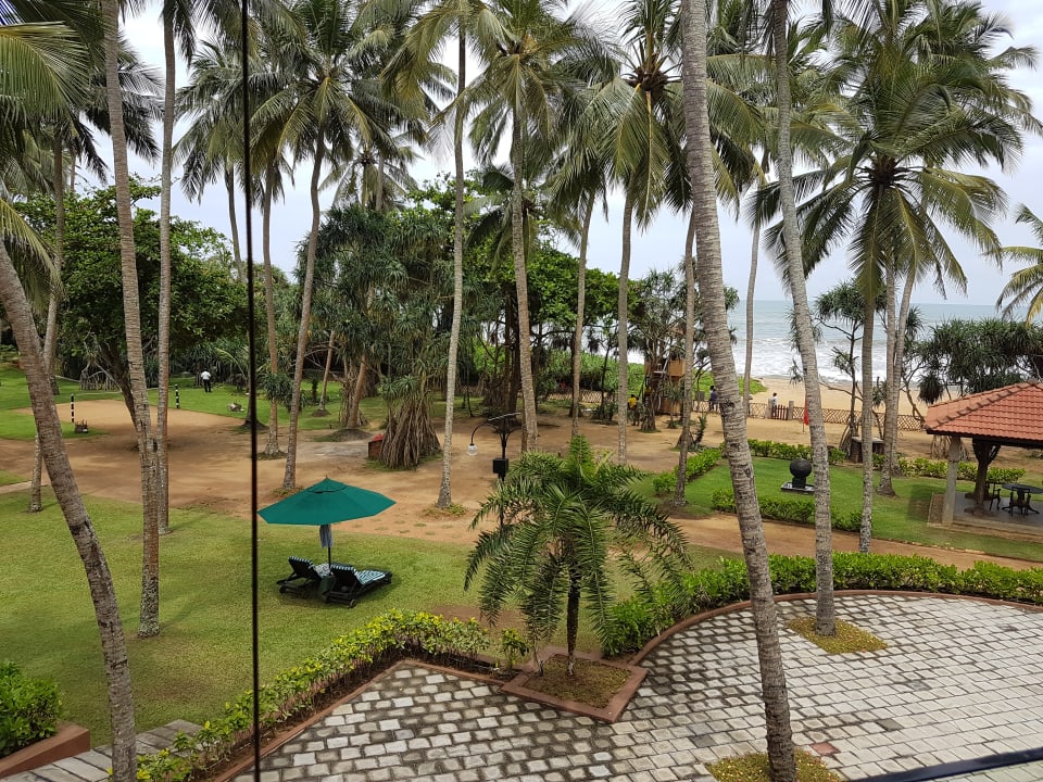 Garten Royal Palms Beach Hotel