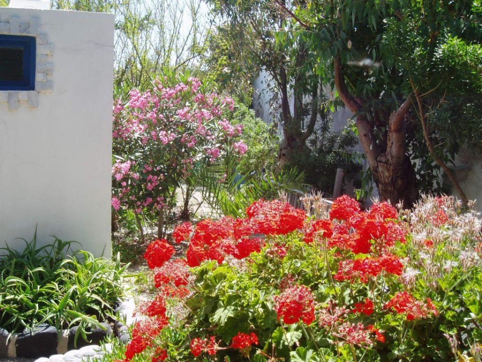 Garten Mediterranean Beach