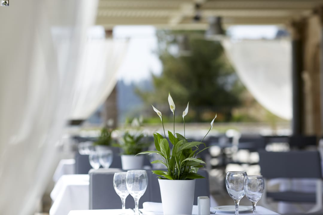 Gastro Mon Repos Palace - Adults only