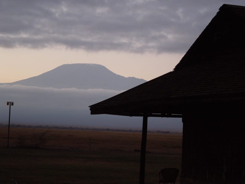 Kili in der Lodge Ol Tukai Lodge