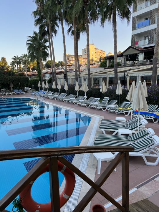 Pool Trendy Palm Beach (Adults Only, 16+)