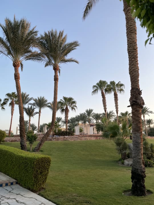 Gartenanlage Steigenberger Coraya Beach - Adults only