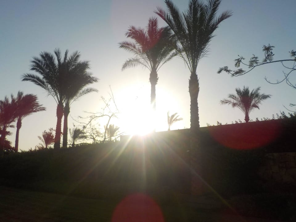 Sonnenaufgang Stella Garden Resort & Spa, Makadi Bay