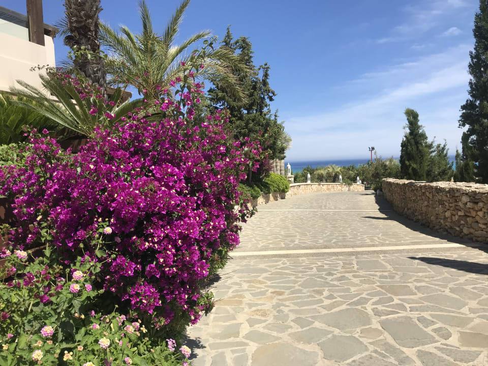 Außenansicht Aquagrand Artistic Luxury Beach Resort - Adults only