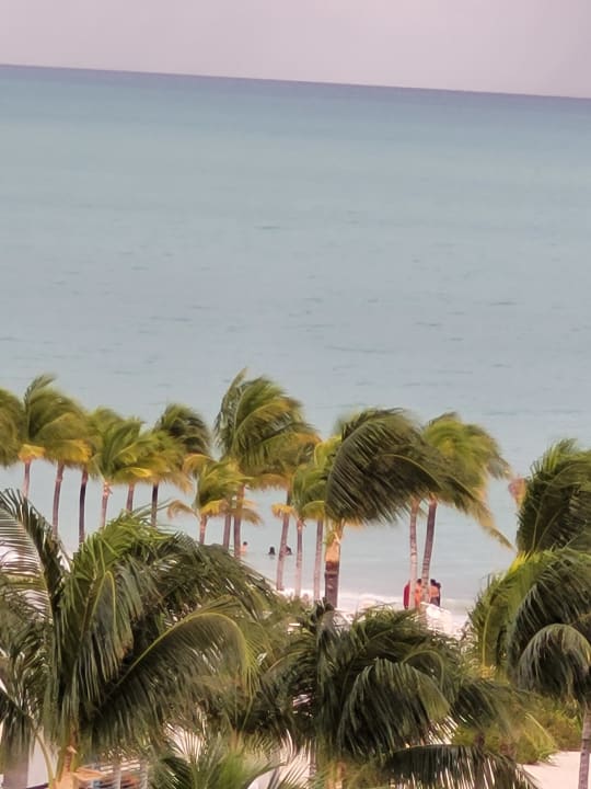 Ausblick Hotel Riu Dunamar