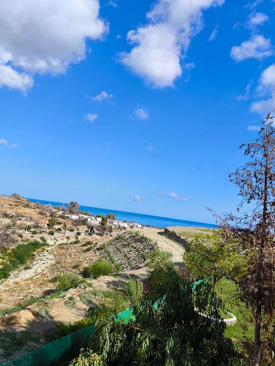 Ausblick Ekaterini Hotel