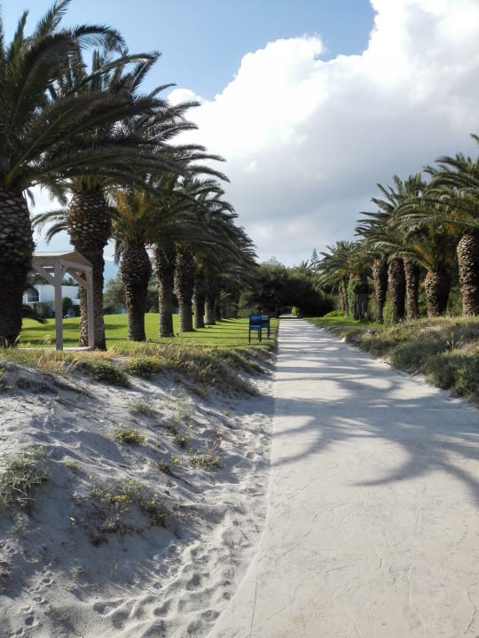 Gartenanlage Caravia Beach Hotel