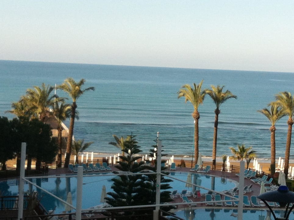 Ein Traum PALOMA Perissia