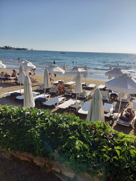 Strand Side Star Beach