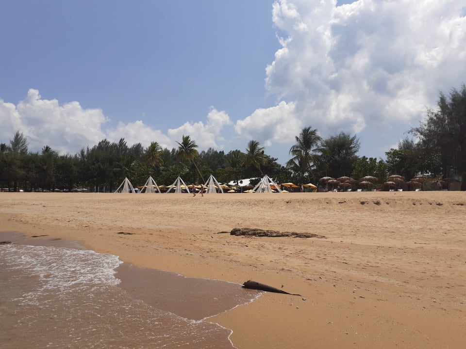 Strand The Waters Khao Lak by Katathani