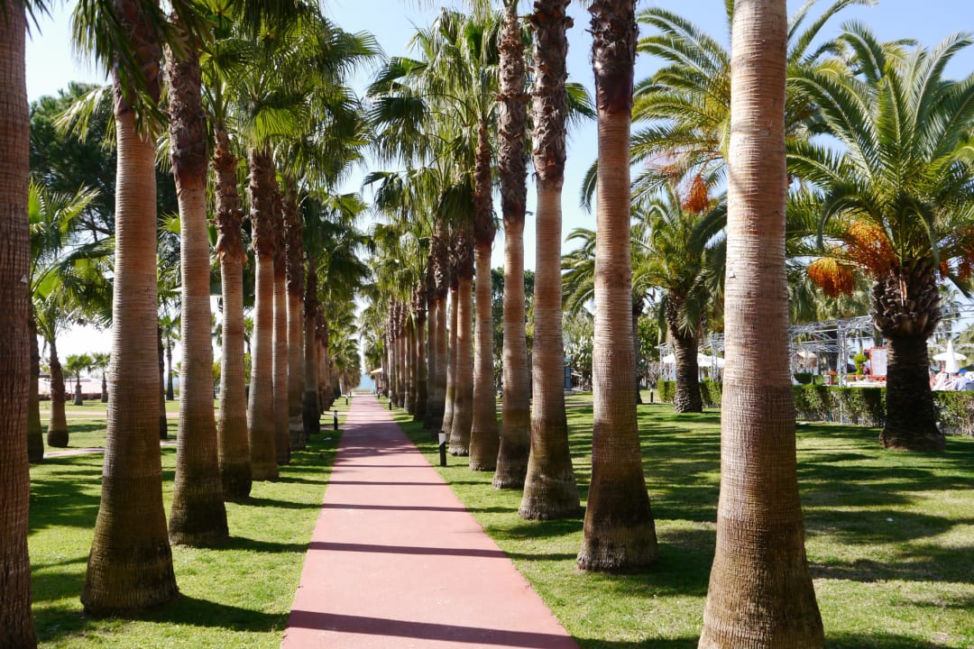 Gartenanlage Hotel Miramare Beach
