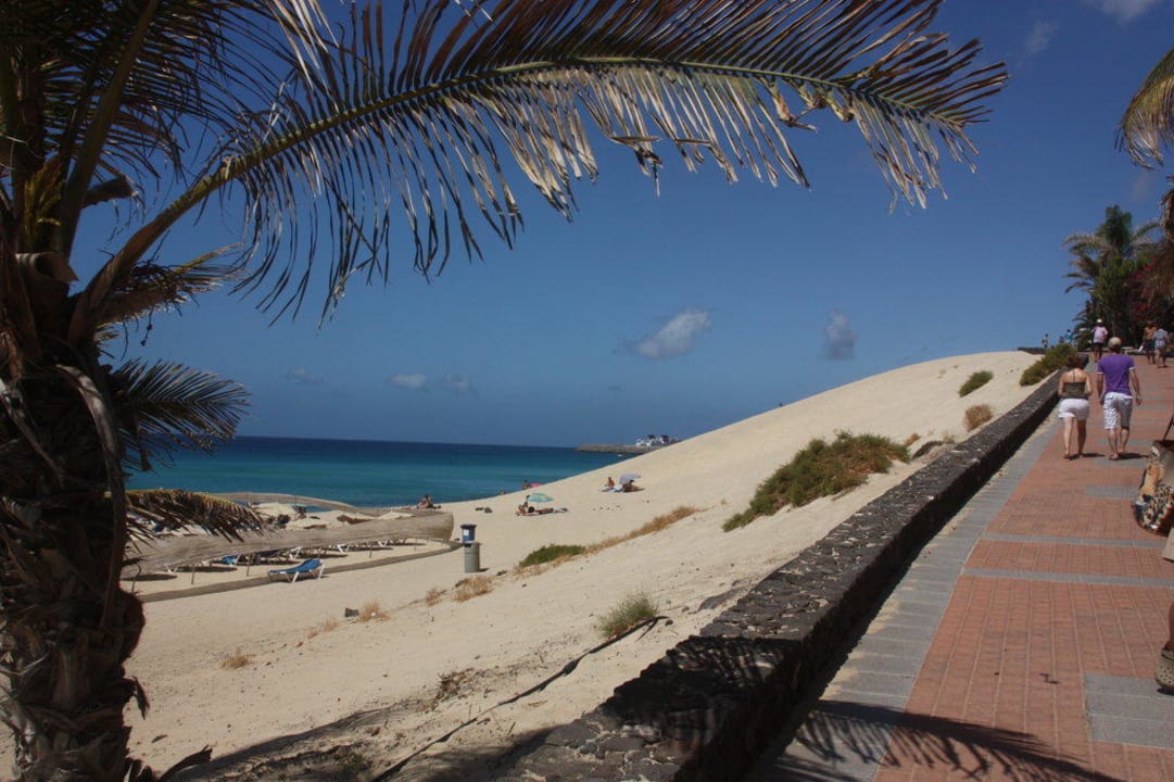Strand direkt beim Hotel Hotel Riu Palace Jandia