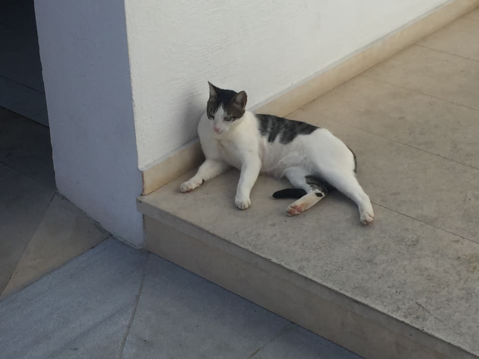 Außenansicht Creta Maris Resort