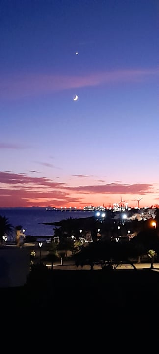 Ausblick allsun App.-Hotel Albatros