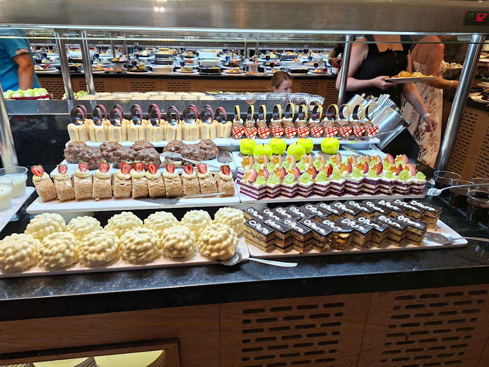 Gastro Seashell Vega