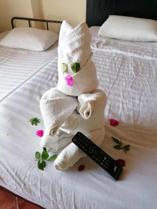 Zimmer Three Corners Sea Beach Resort