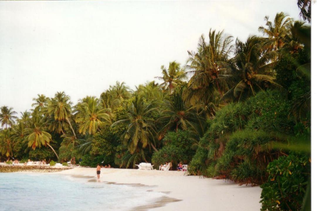 Traum Strand Kuramathi Maldives