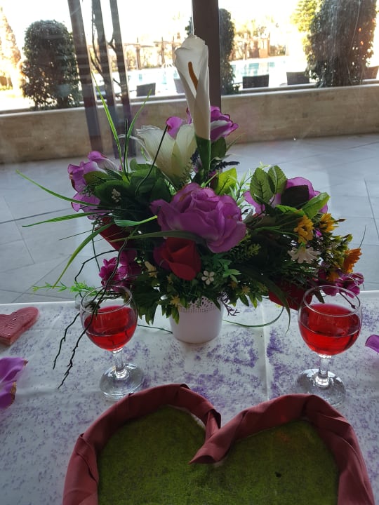 Gastro Seamelia Beach Resort