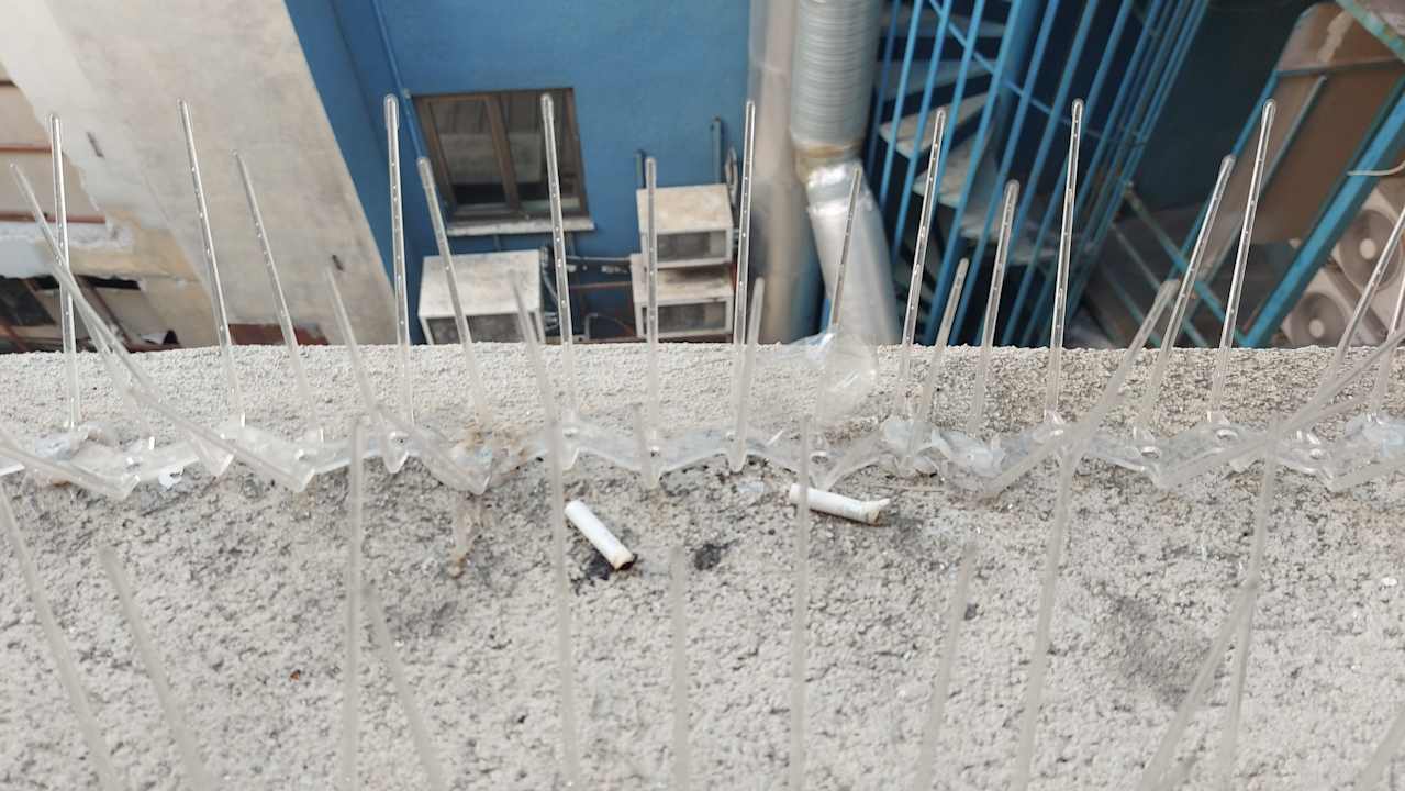 Zimmer Manesol Old City Bosphorus