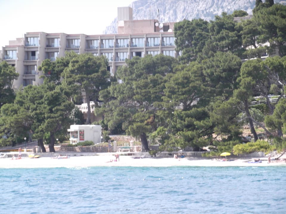 Hotel vom Meer aus Bluesun Hotel Soline