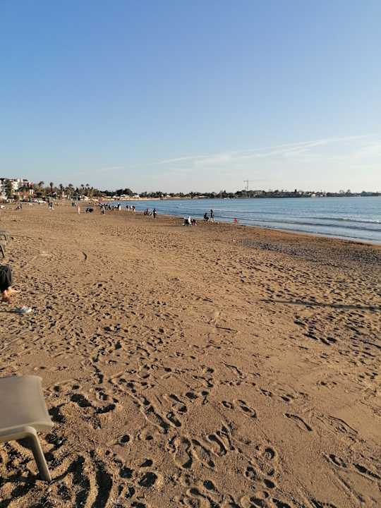 Strand Acanthus Cennet Barut Collection