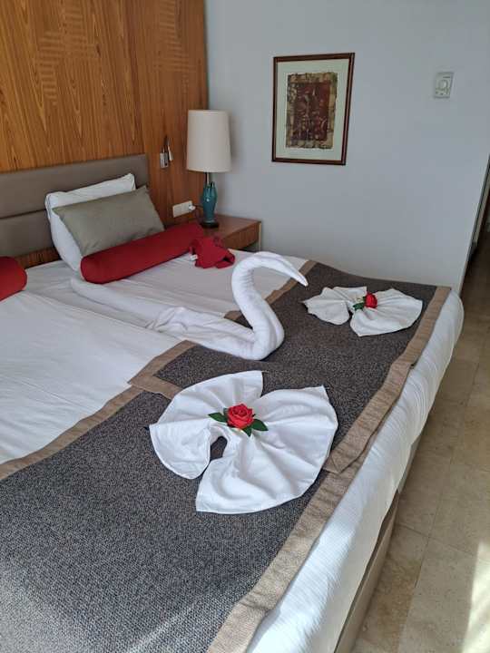 Zimmer PALOMA Perissia