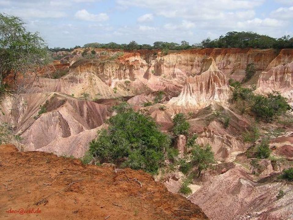 Hell's Kitchen 10 Hotel Traveller's Club